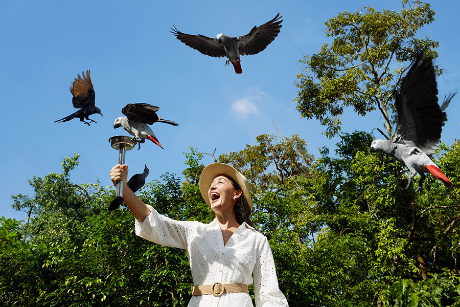Bird Paradise Ticket | Mandai Wildlife Reserve, Singapore xGjFjT2B