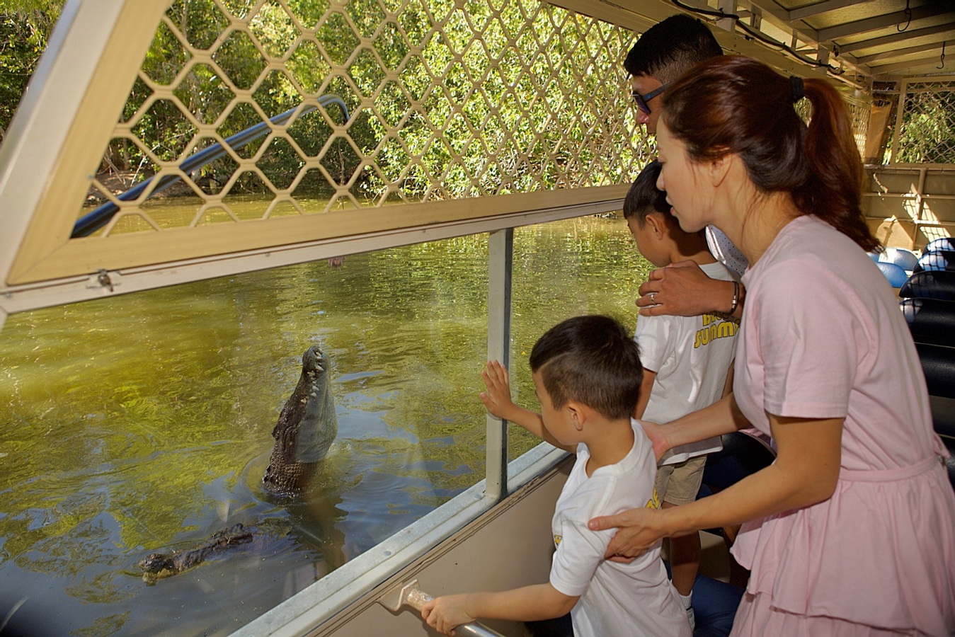Hartley's Crocodile Adventures Ticket zdpoTDJb