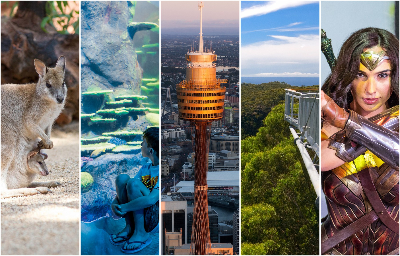Sydney Attraction Pass RP9foWAE-backdrop