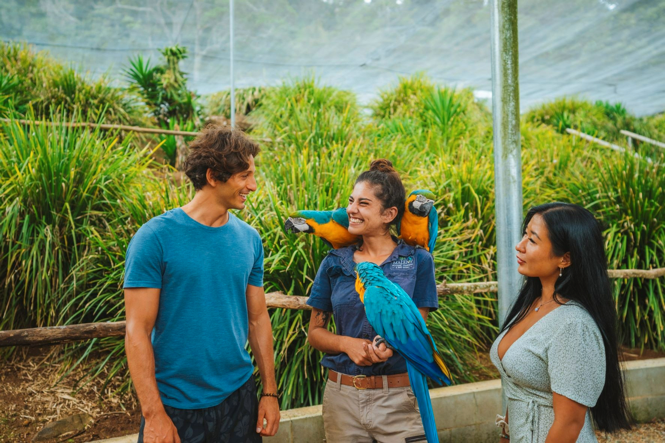 Maleny Botanic Gardens and Bird World Ticket in Sunshine Coast SDG0MYow