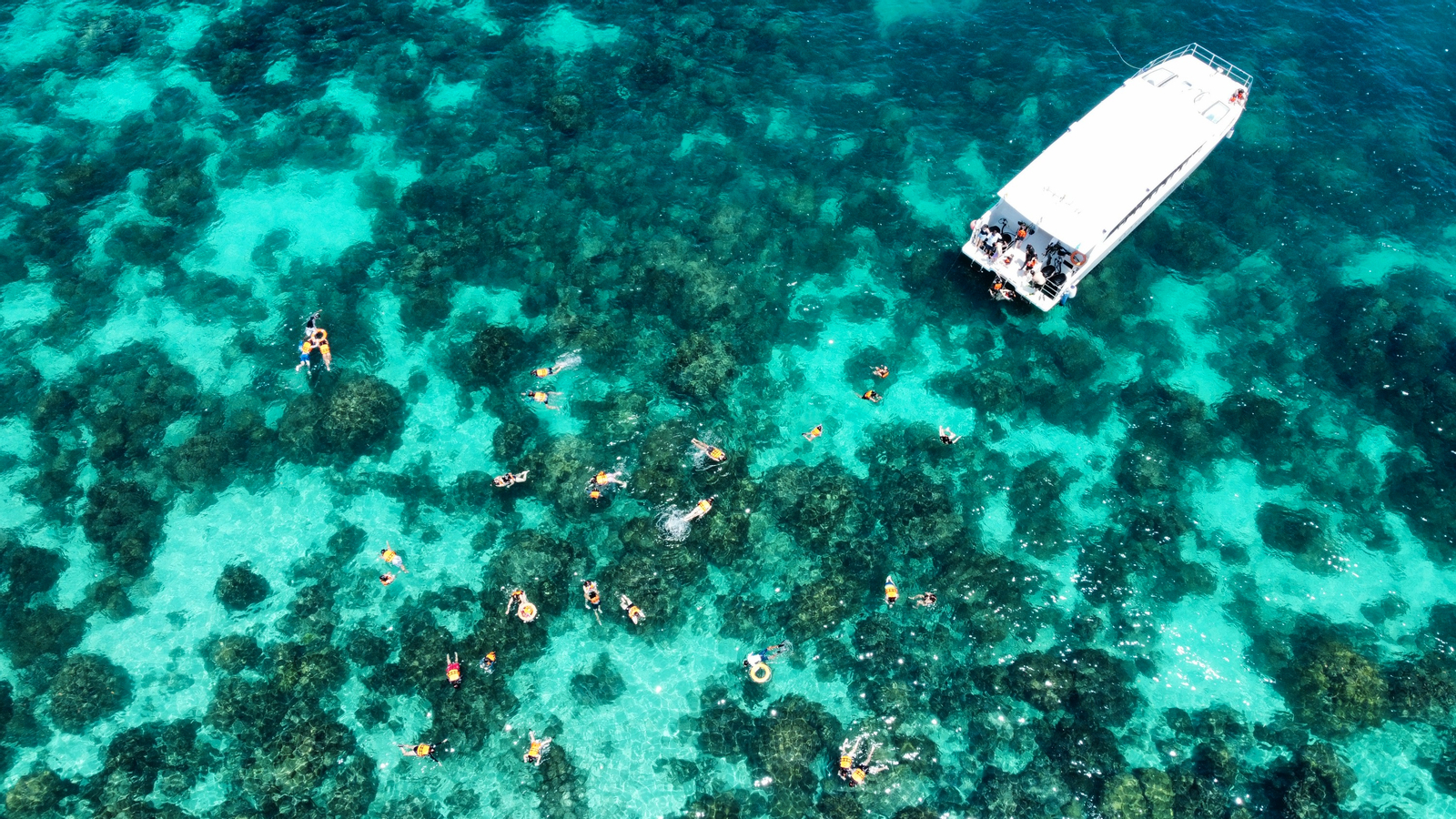 Phi Phi Island, Maya Island and Bamboo Beach Speedboat Day Tour 6CjDEHe5