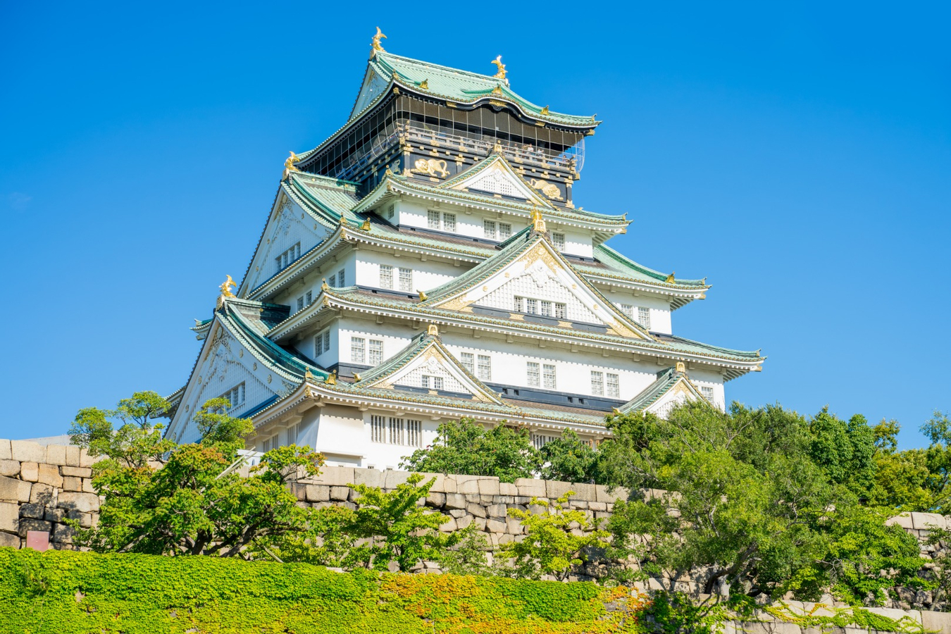 Osaka Castle Ticket 737pOrS2