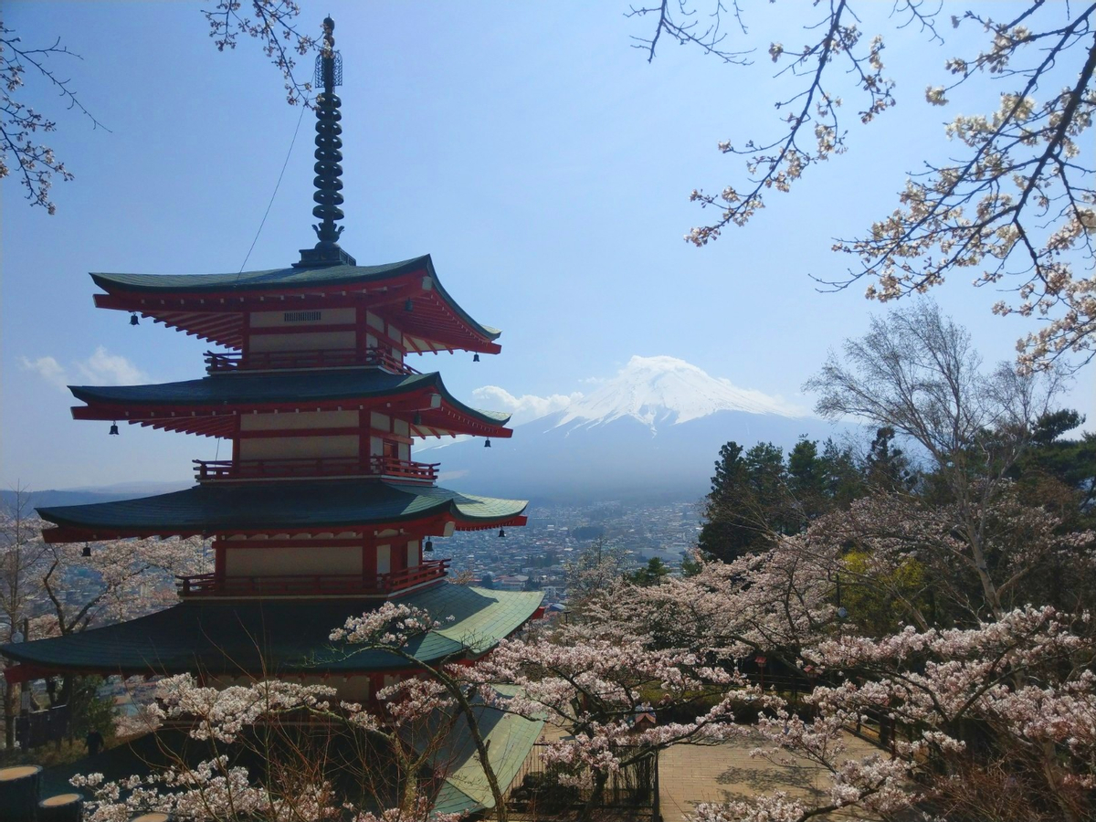 Mount Fuji Panoramic View & Shopping One Day Tour from Tokyo s54MFHiK-backdrop