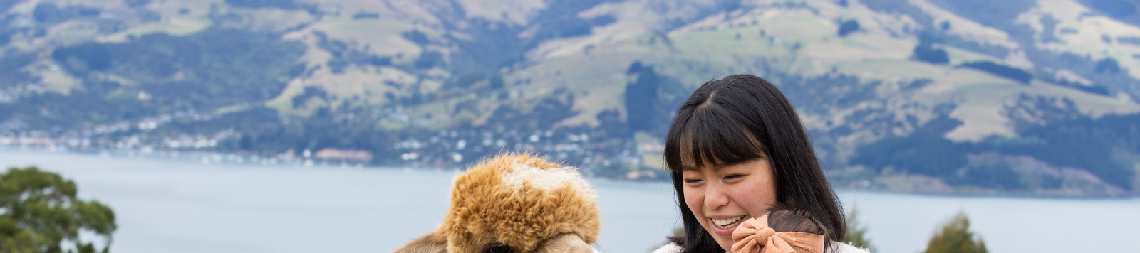 Akaroa Shamarra Alpaca Farm Tour UnJJHvMG