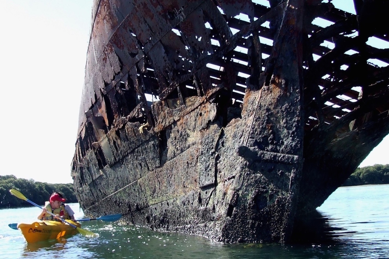 Dolphin Sanctuary and Ships Graveyard Kayak Tour tI842ovL
