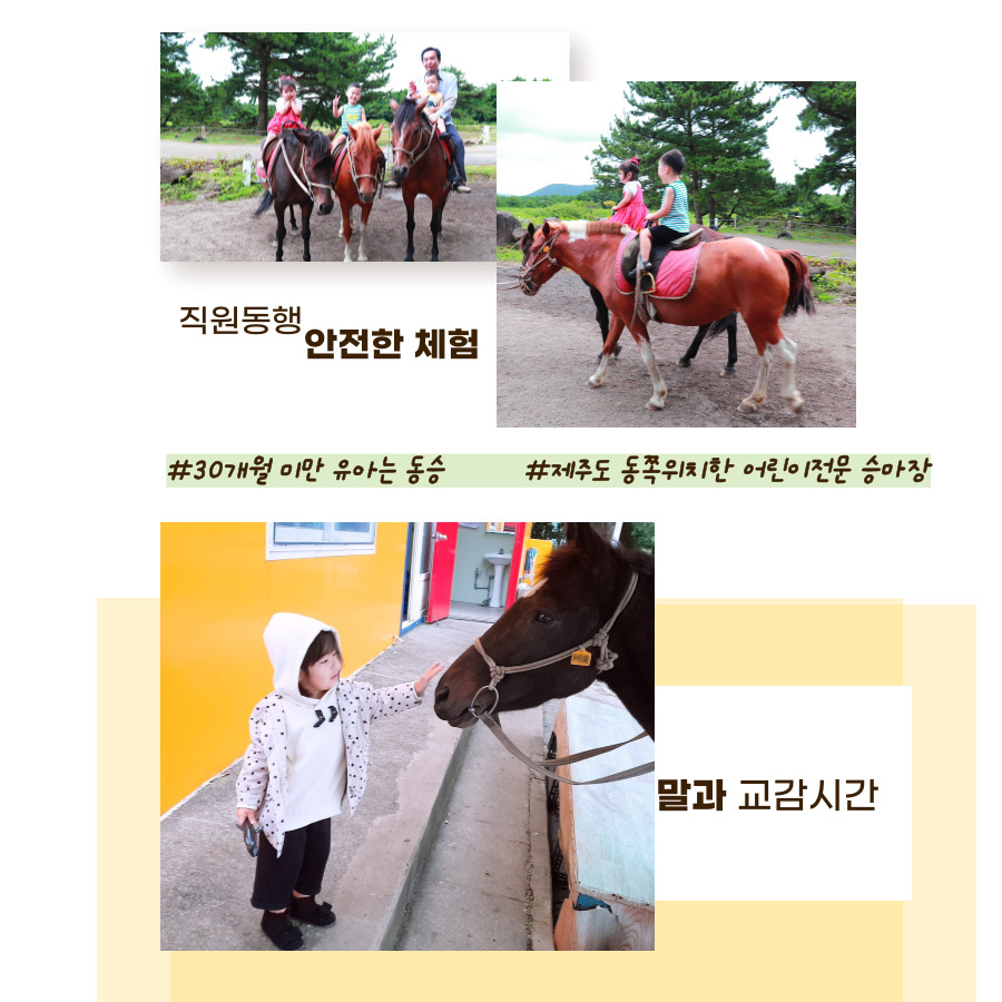Jeju Songdang Horse Riding Center 1GfTSBXk-backdrop