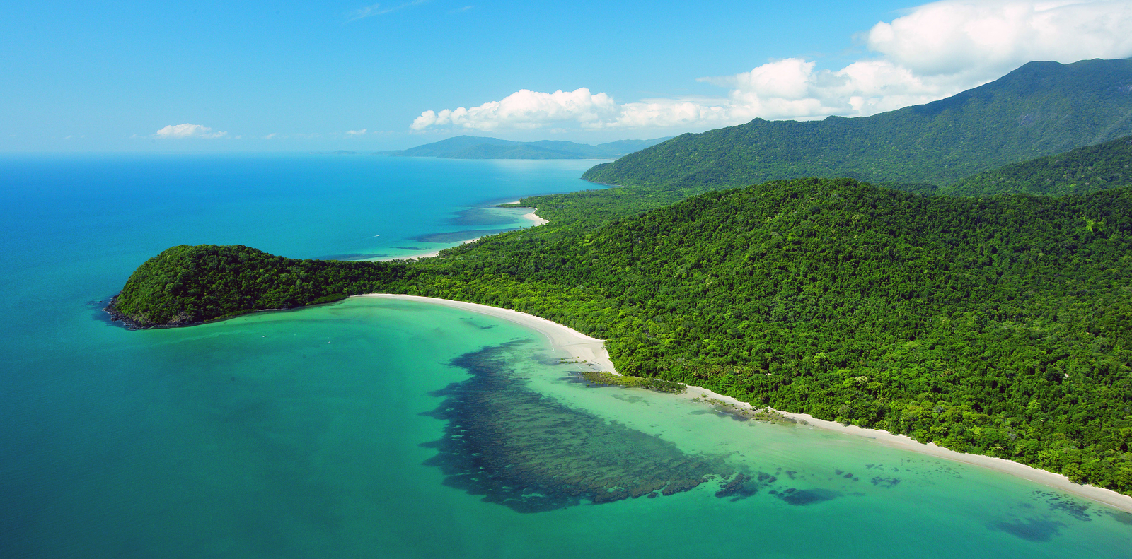 Cape Tribulation and Daintree Wildlife Day Tour from Cairns 70NR8DmW