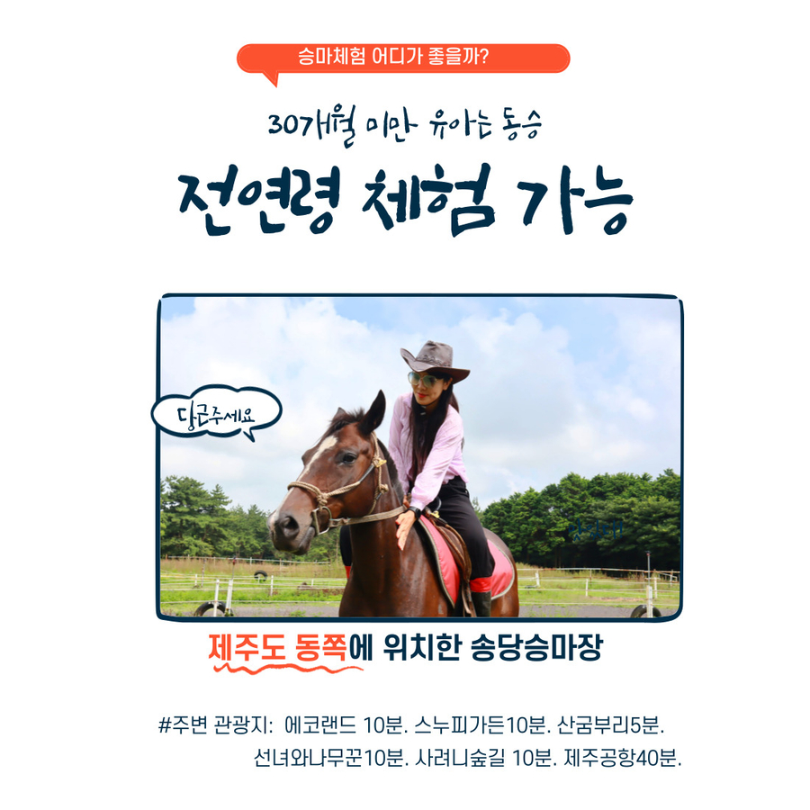 Jeju Songdang Horse Riding Center 4d5ChEVq