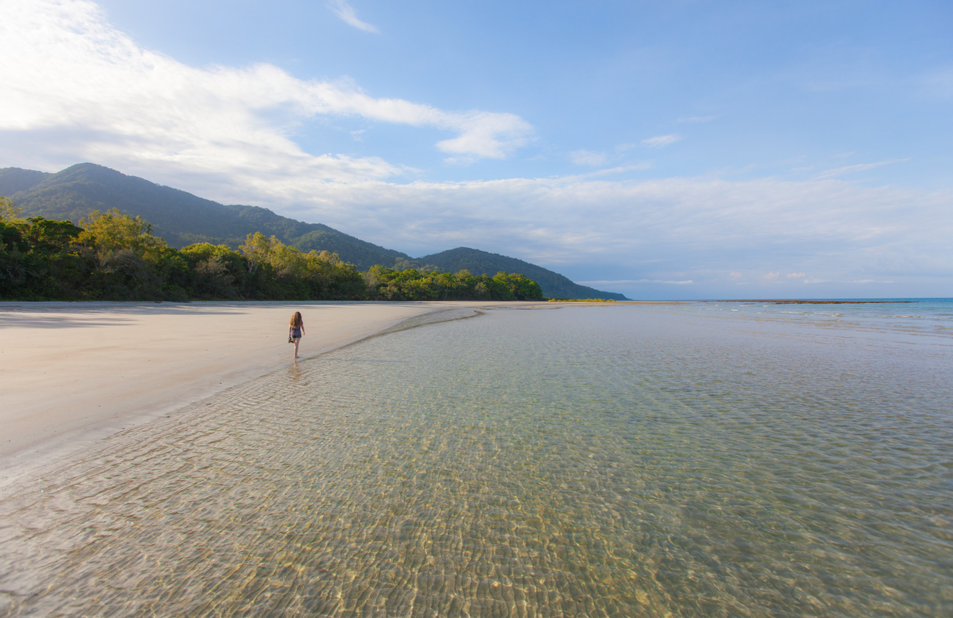 Cape Tribulation and Daintree Wildlife Day Tour from Cairns c6pj8xQG-backdrop