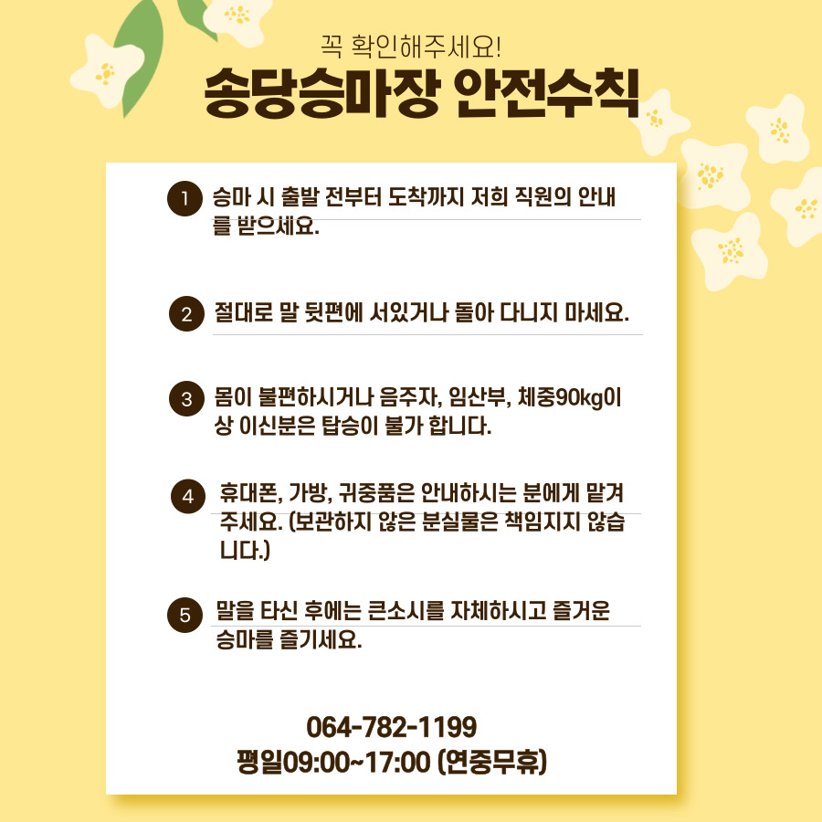 Jeju Songdang Horse Riding Center 15v96ogY