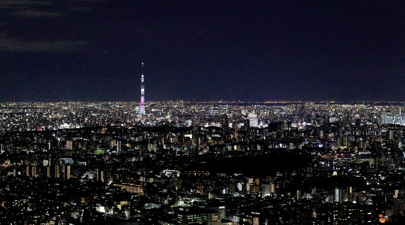 Sunshine 60 Observatory Tenbou Park Admission in Tokyo TXRWYUcZ-backdrop