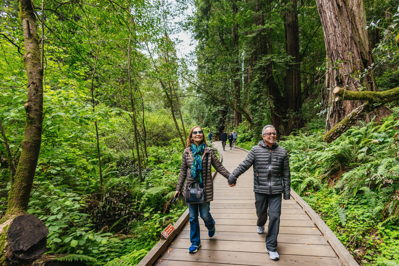Muir Woods and Sausalito Half Day Tour ZAbYFeJ1