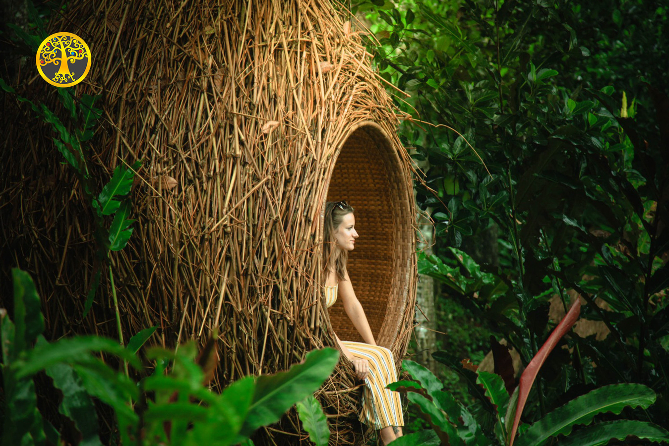 Bali Holy Bath and Jungle Swing Private Day Trip ZLof75Rm