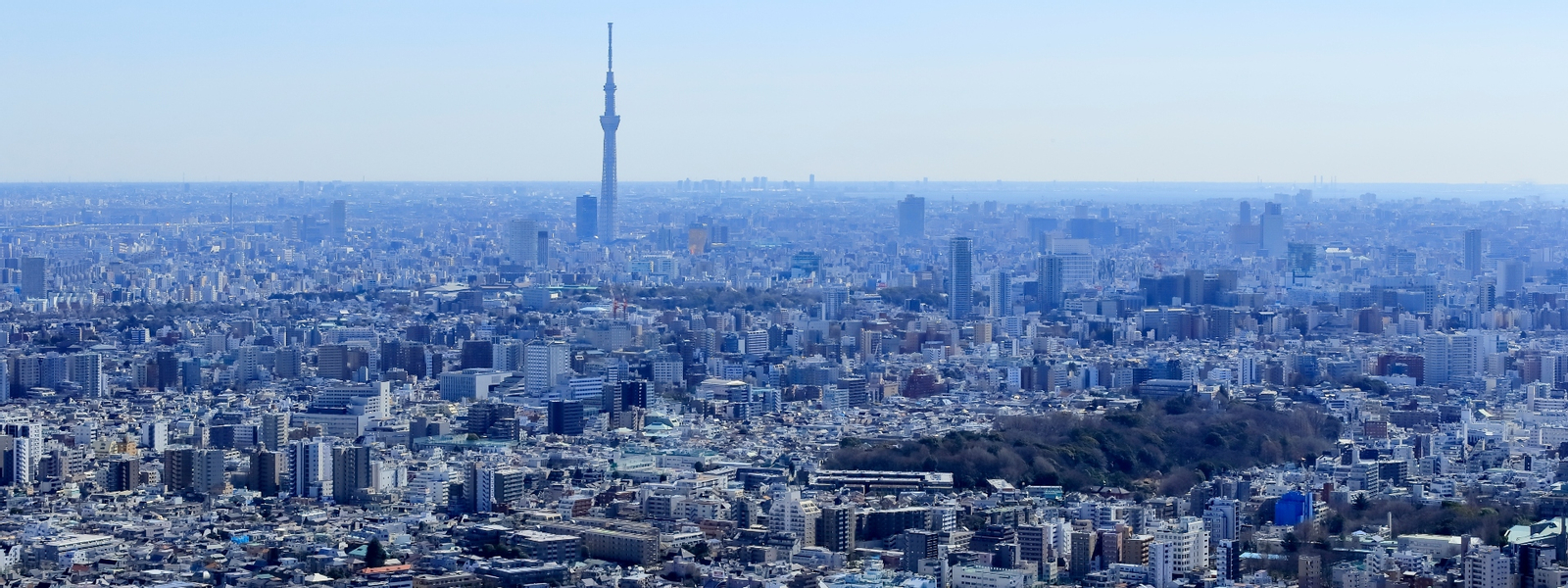 Sunshine 60 Observatory Tenbou Park Admission in Tokyo zLUmXfnL