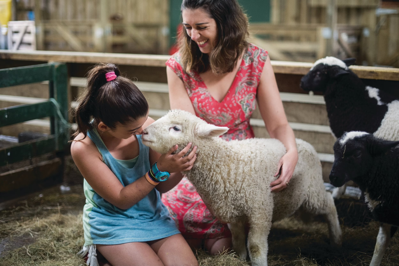 Agrodome Farm Show and Tour Ticket in Rotorua ROyJpqTE