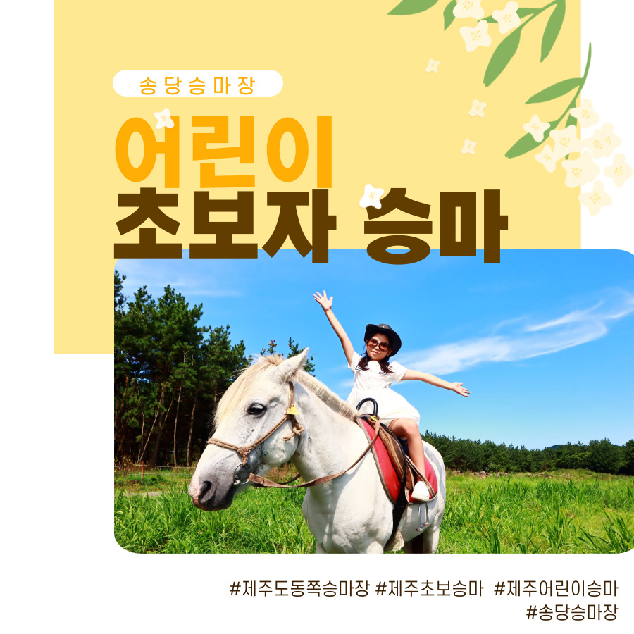 Jeju Songdang Horse Riding Center Eia4m15W
