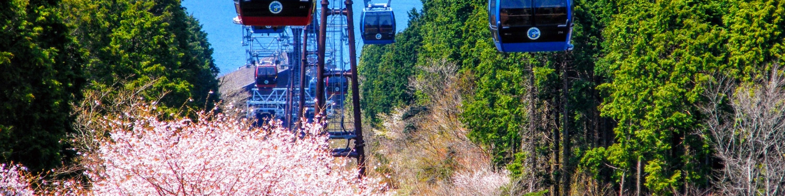 Mt. Fuji, Lake Ashi, and Hakone Day Tour from Tokyo a21ZaJqR