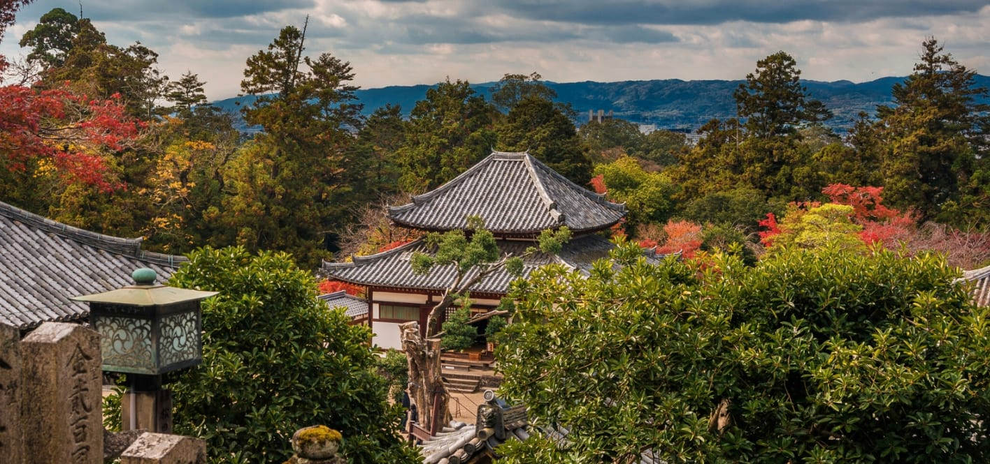 Nara Day Tour with Local Guide from Osaka GfD2wyl9