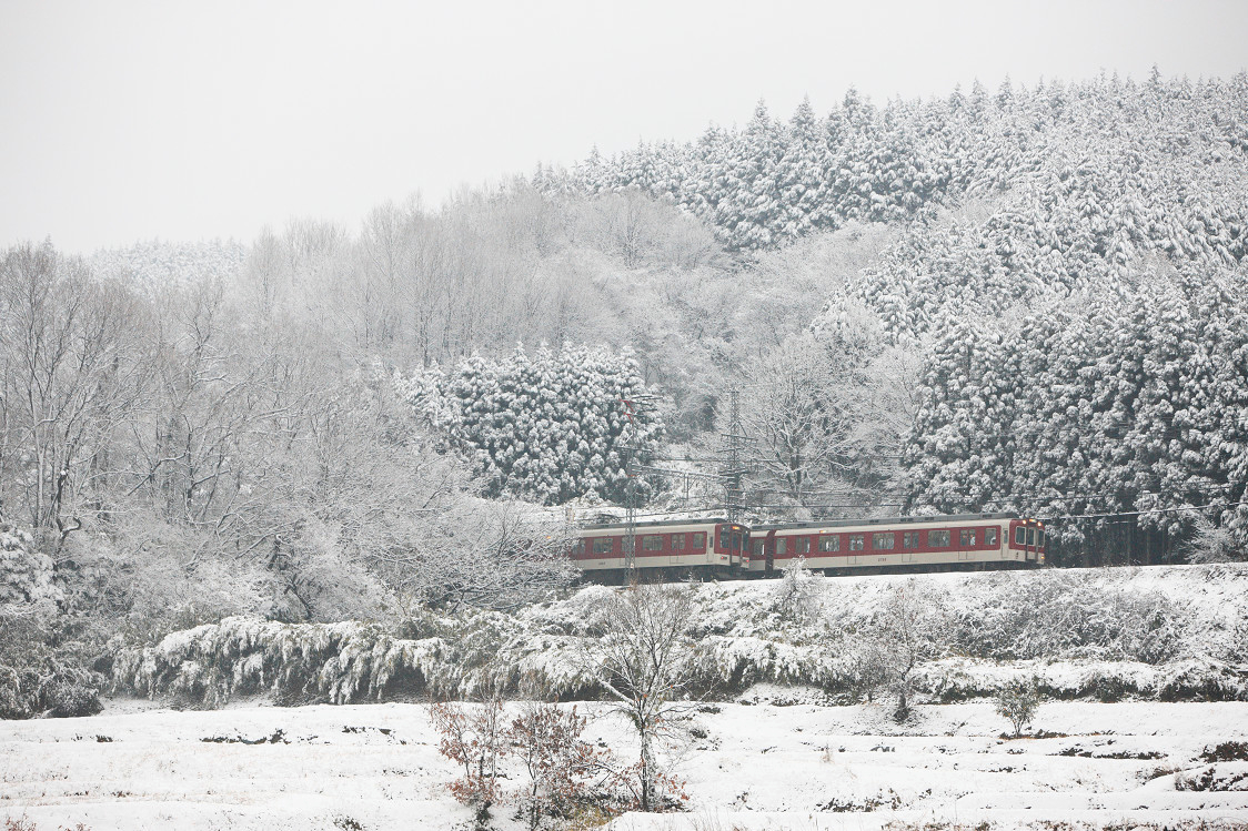 Kintetsu Rail Pass M9dGzxdn