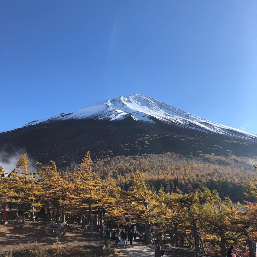 Mt. Fuji, Lake Ashi, and Hakone Day Tour from Tokyo 00Mou4fh