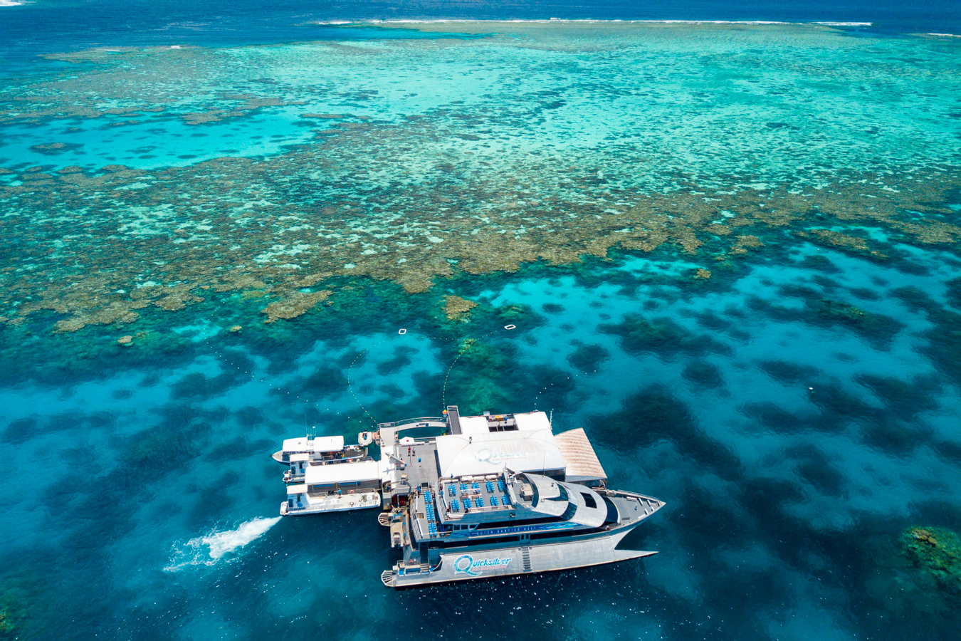 Quicksilver Outer Barrier Reef Full Day Cruise from Port Douglas APyWSekJ