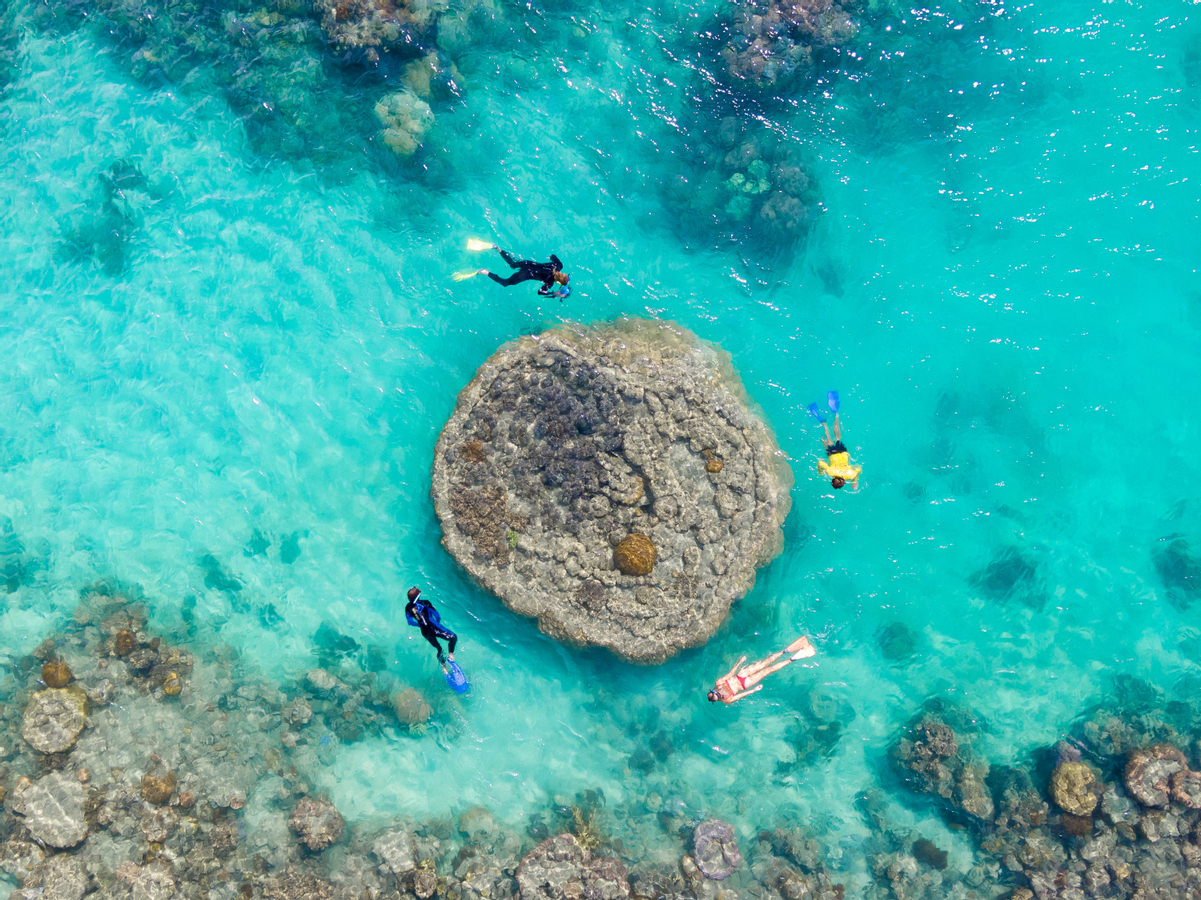 Ocean Rafting Whitehaven Beach Snorkelling Day Tour 2NxsgZYL