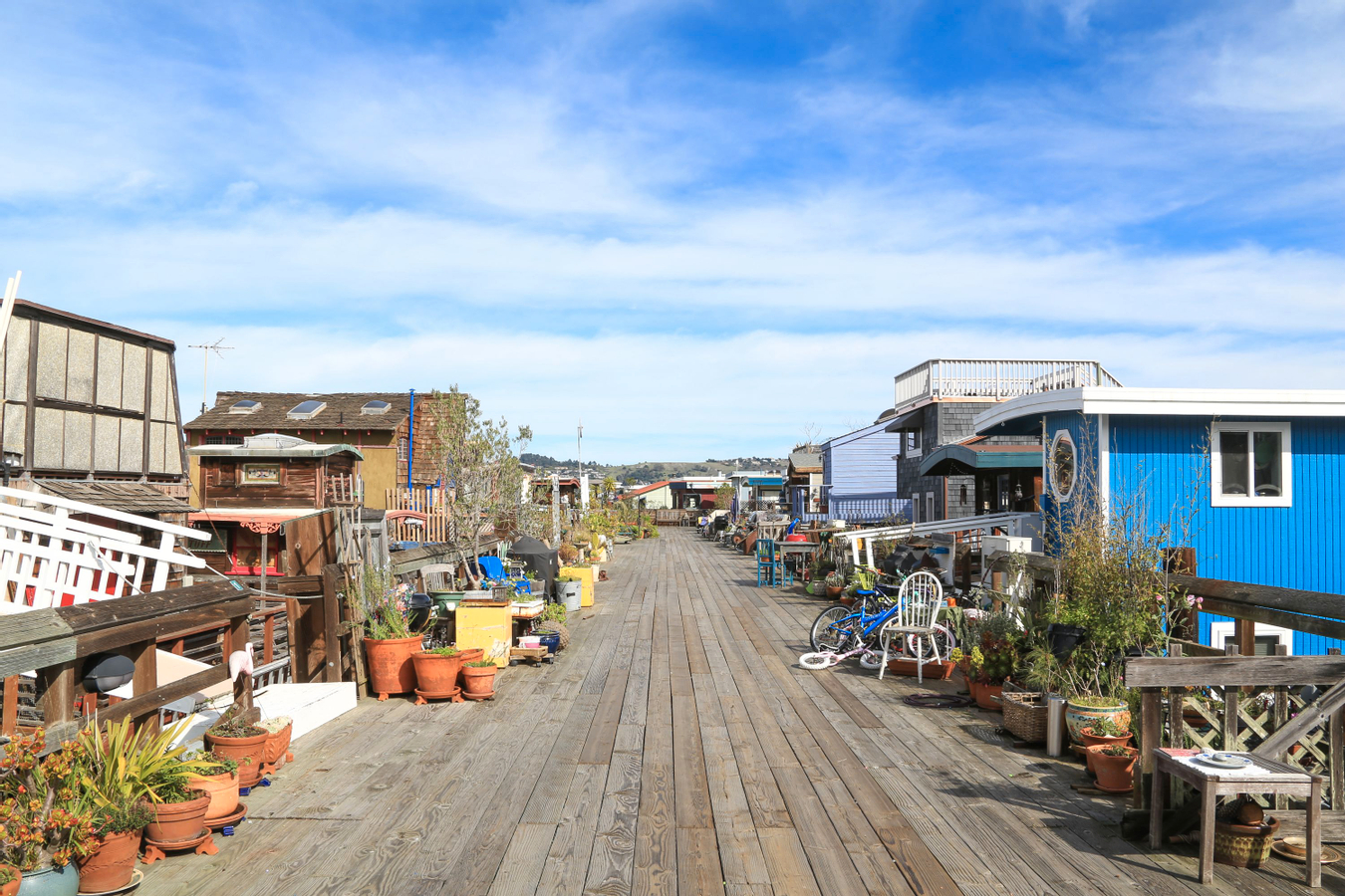 Muir Woods and Sausalito Half Day Tour ugQOTwlc