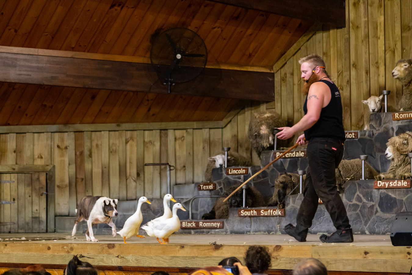 Agrodome Farm Show and Tour Ticket in Rotorua hYoSNZ2J