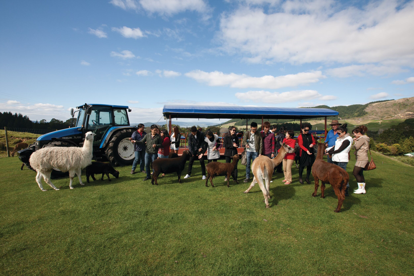 Agrodome Farm Show and Tour Ticket in Rotorua EOixJ8F1-backdrop