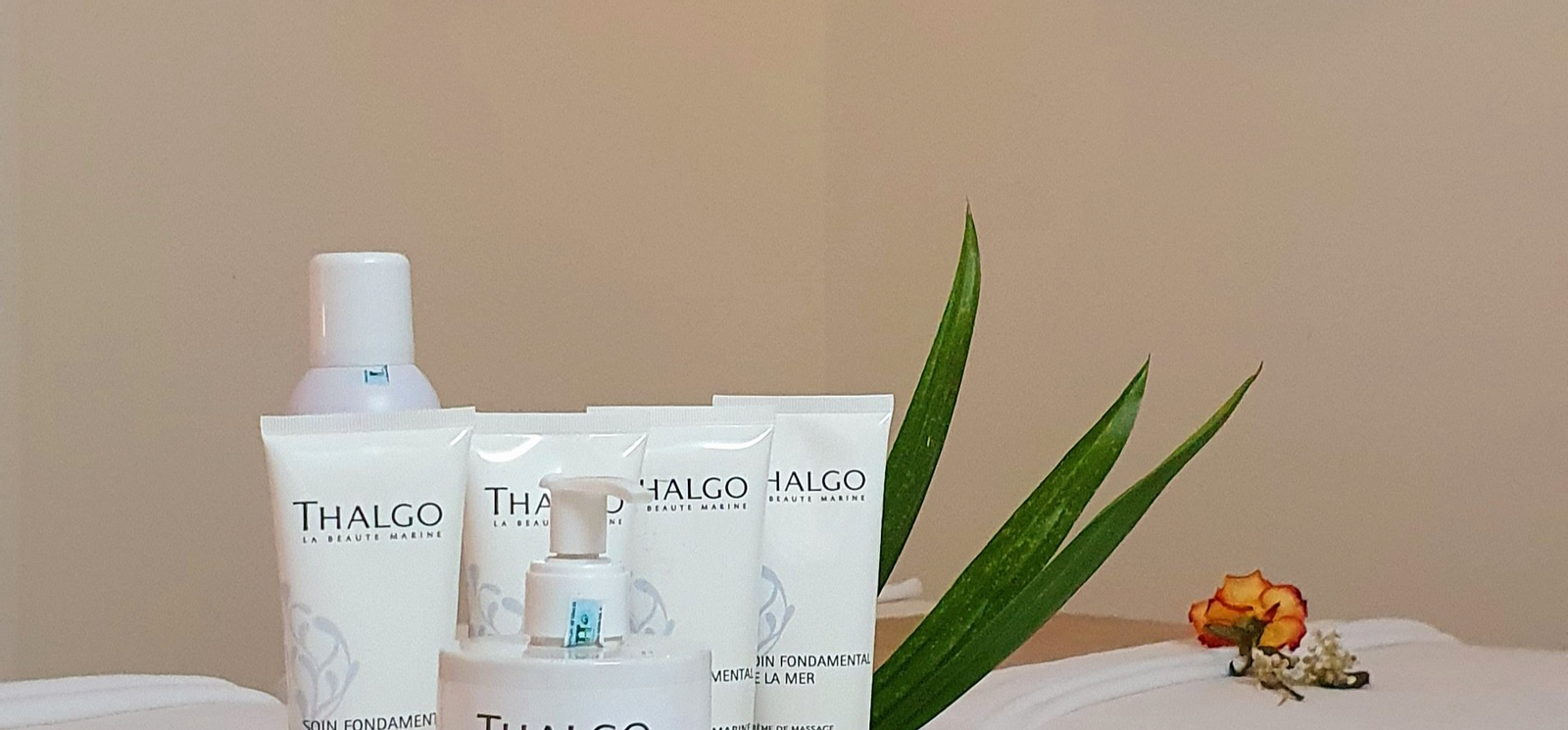 Organic Plus Spa Experience in Da Nang rqz634ud