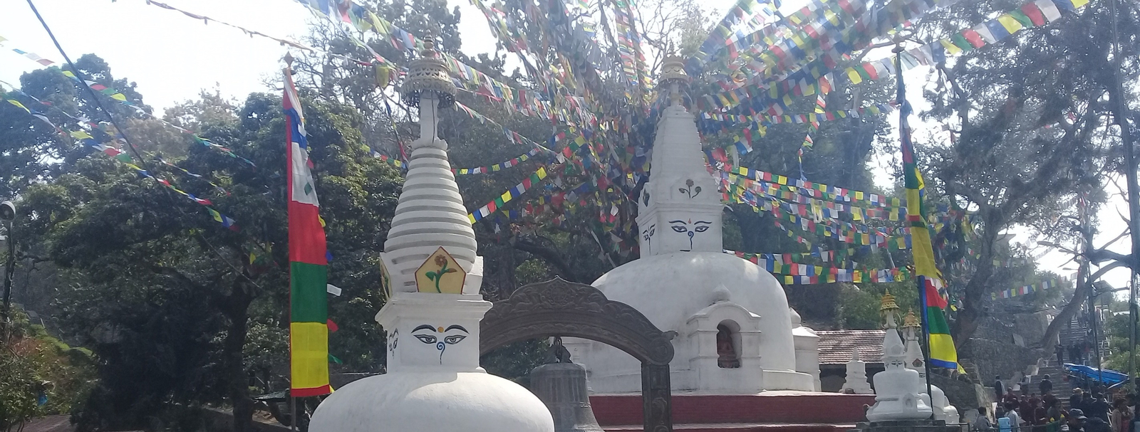 Morning Cultural Walking Tour TDXMoRqv