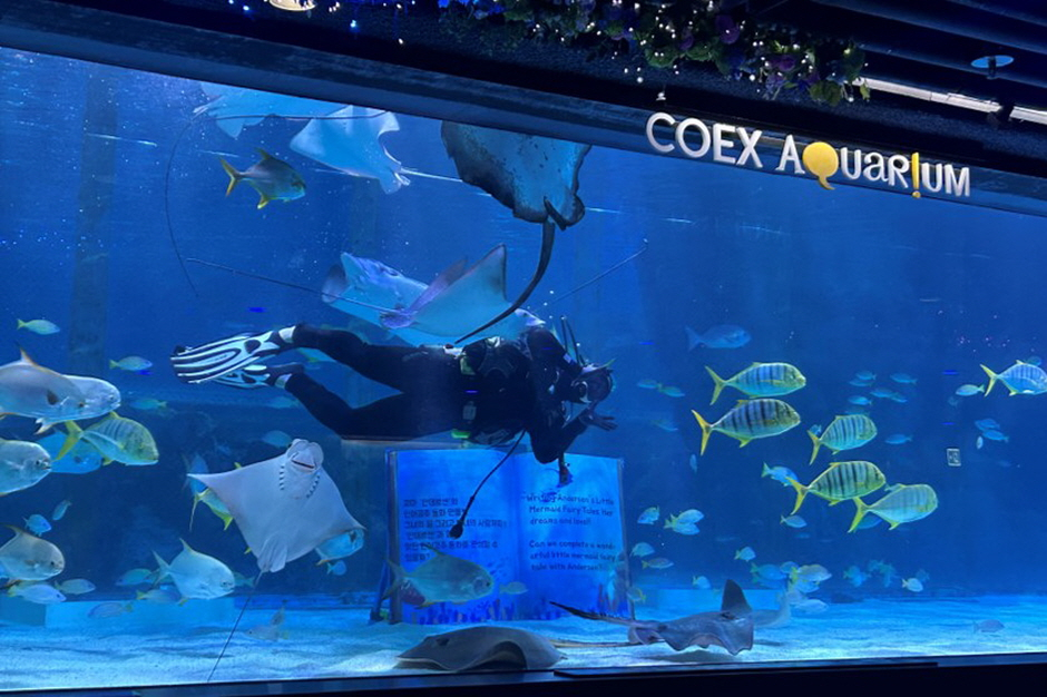 Coex Aquarium Admission Ticket in Seoul SJg5Uu9H-backdrop