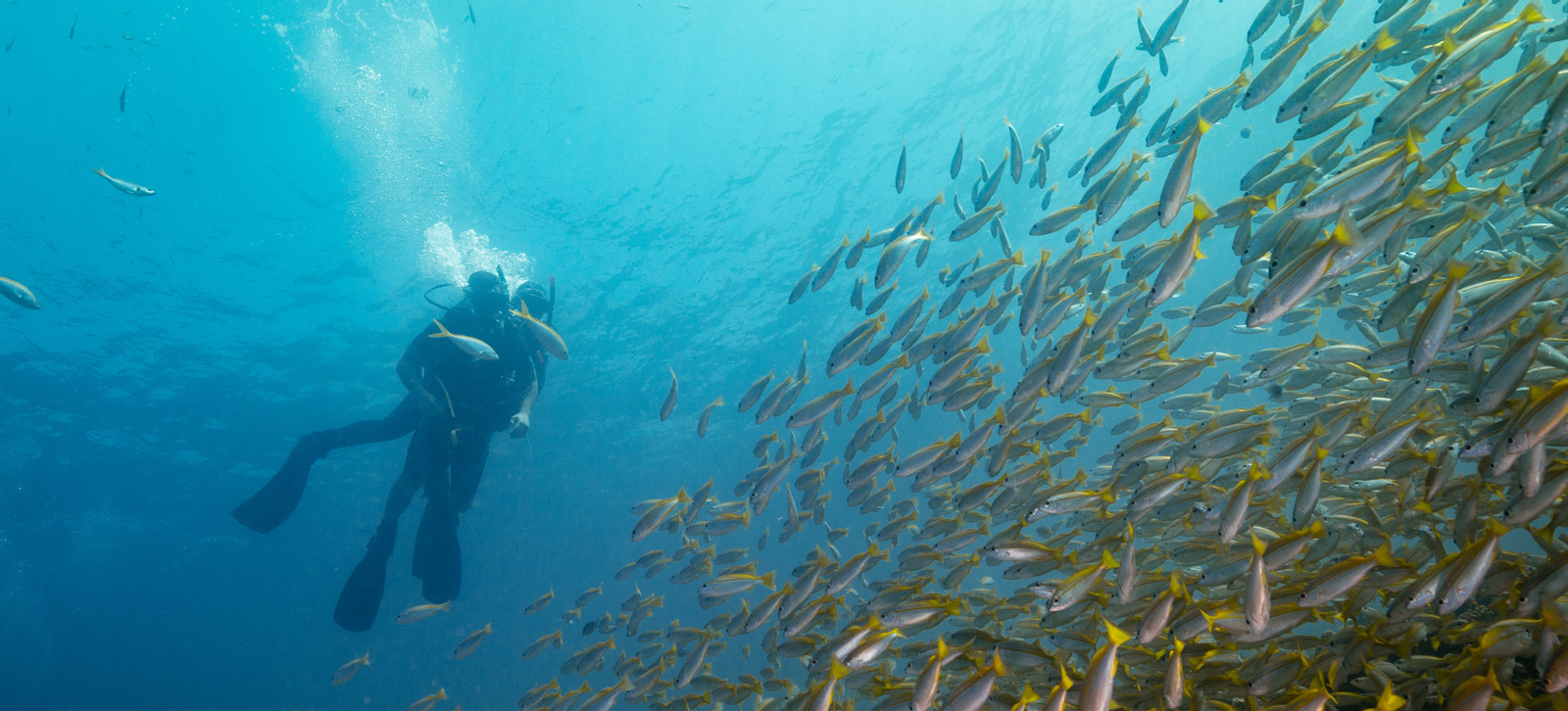 Koh Lipe Full Day Scuba Diving if3hjD3P
