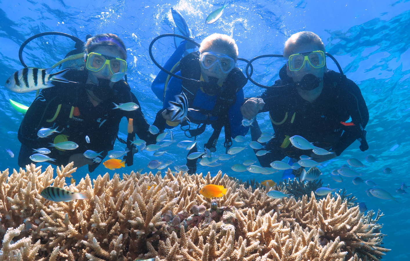 Quicksilver Outer Barrier Reef Full Day Cruise from Port Douglas QNfuudf8-backdrop