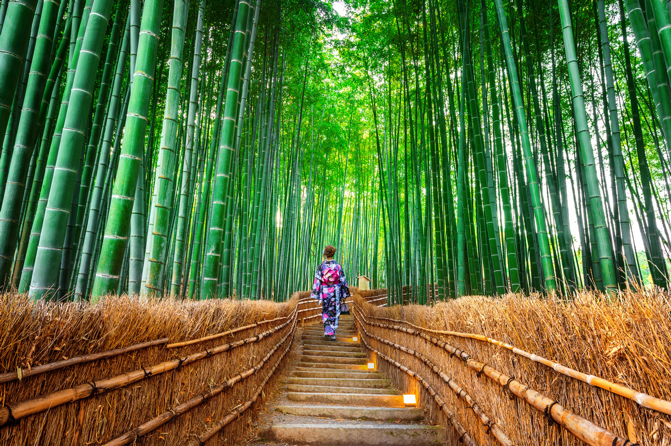 Kyoto Arashiyama | Sagano Train (Optional) & Sanzen-in Temple Day Tour | Depart from Osaka/Kyoto TNBfx2tW