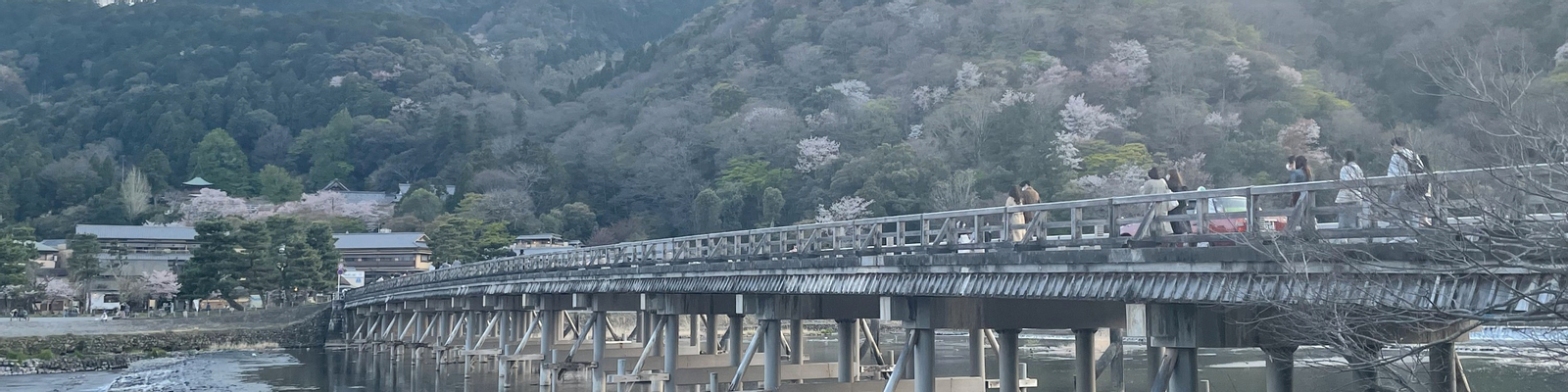 Kyoto and Nara Private Car Charter with English Speaking Guide otV30YpB