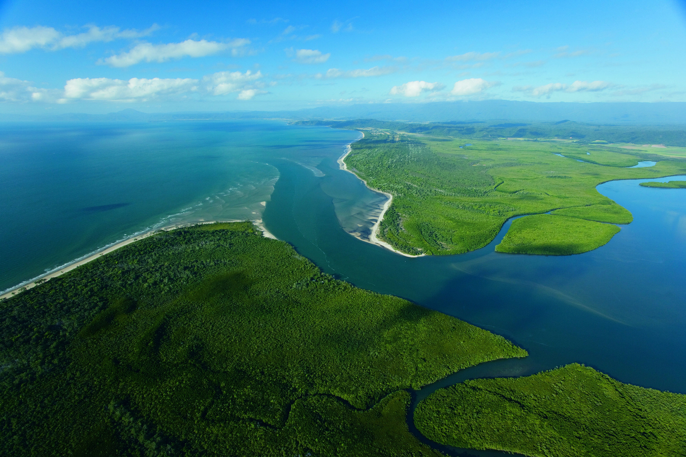 Cape Tribulation and Daintree Wildlife Day Tour from Cairns HmF503nV