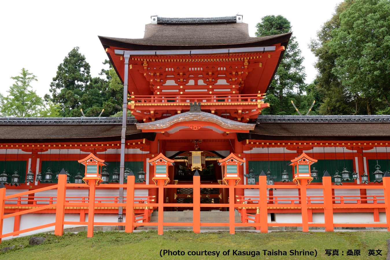 Nara Afternoon Tour (Round Trip from Kyoto) qtdkrsli-backdrop