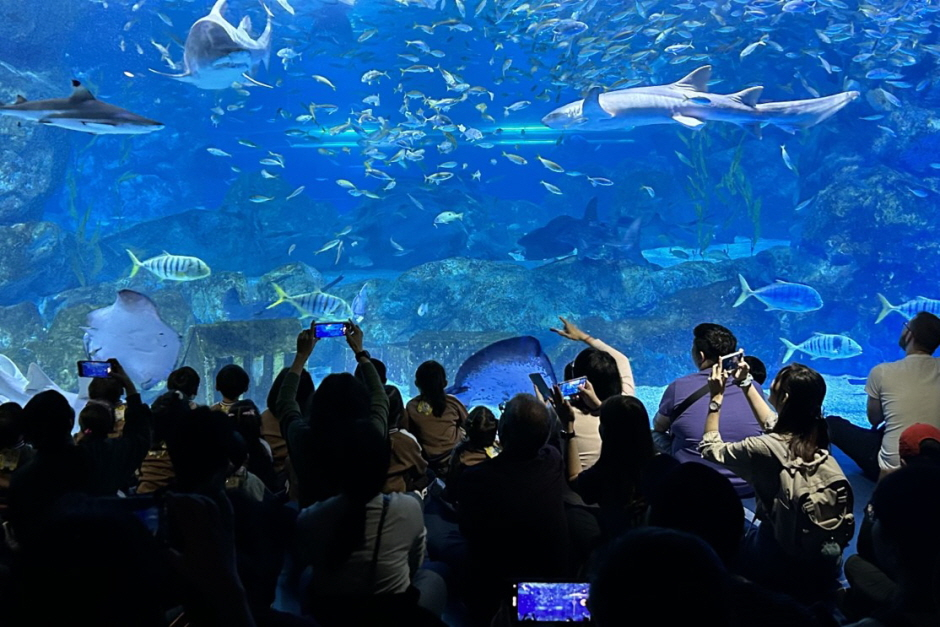 Coex Aquarium Admission Ticket in Seoul HvlbO0Ck