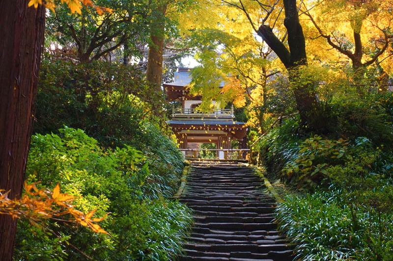 Kamakura 4hr Private Trip with Government-Licensed Guide O5tPUwXU