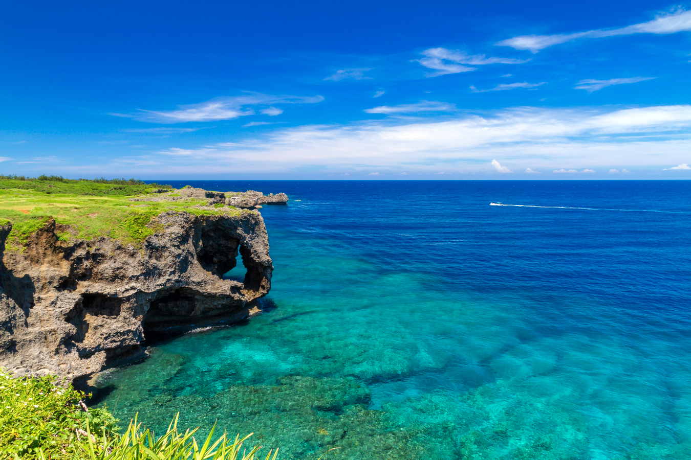 Churashima Okinawa Bus Day Tour (Naha or Chatan Departure) tDwly37W