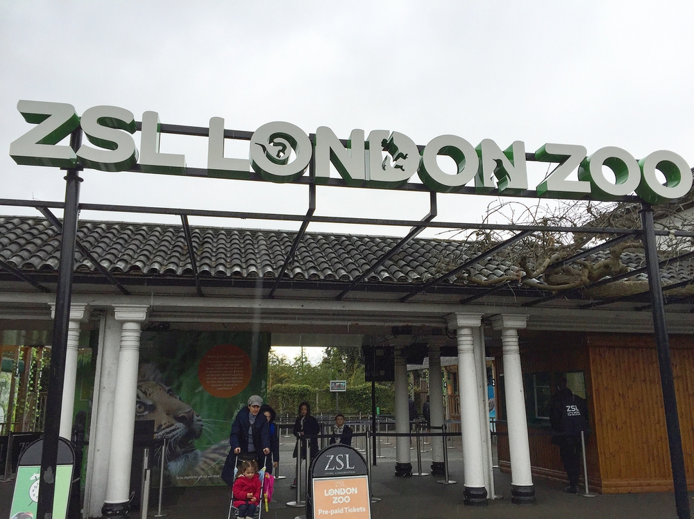 ZSL London Zoo Ticket  OPWsgPOx