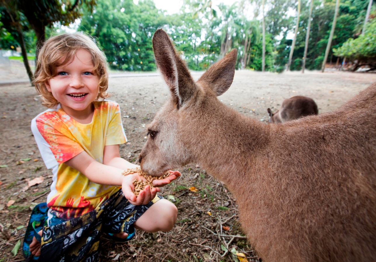Cape Tribulation and Daintree Wildlife Day Tour from Cairns MMitoyY6