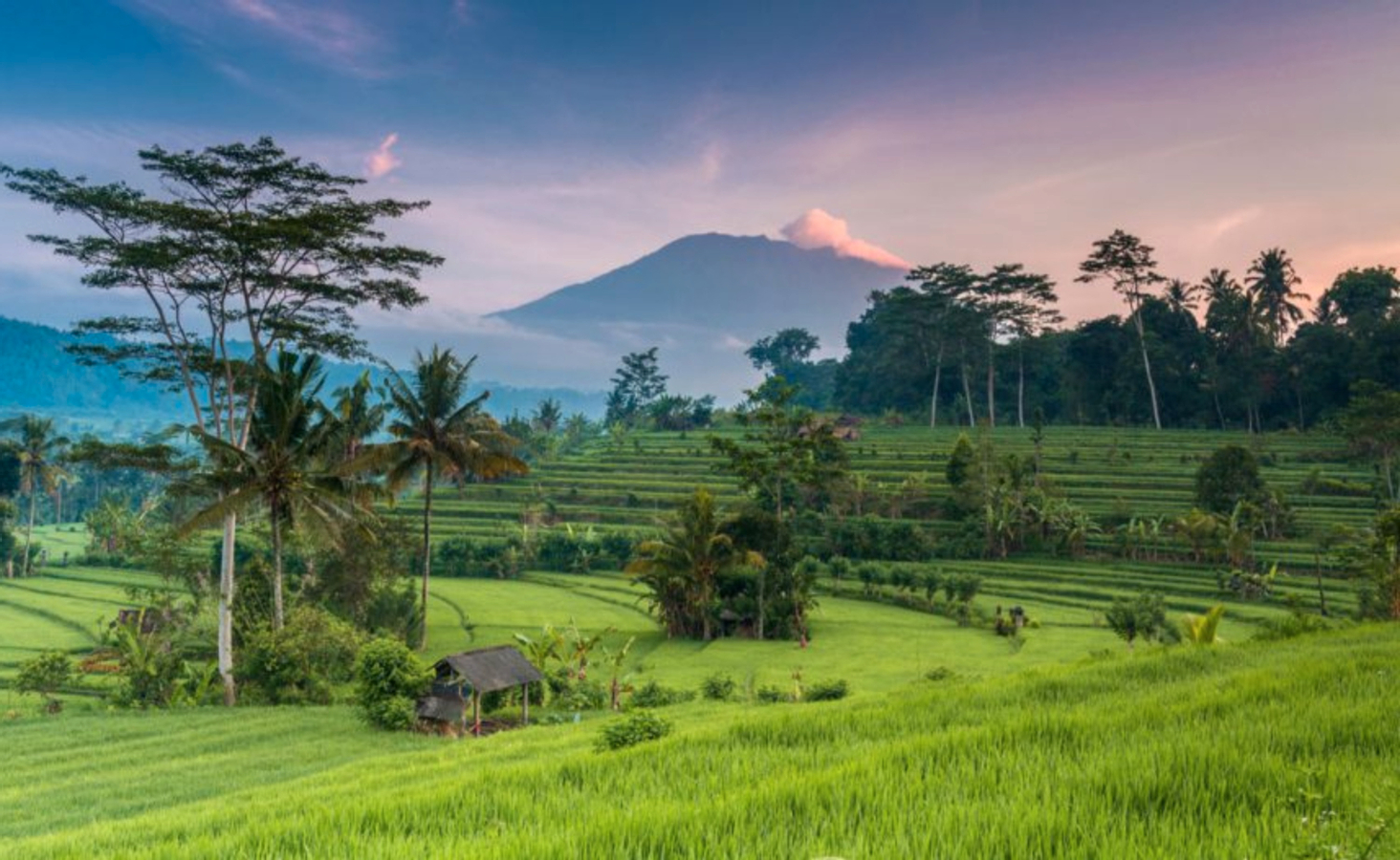 Best Northern Bali Sites with Tanah Lot Temple Tour ZlHKAQ2j