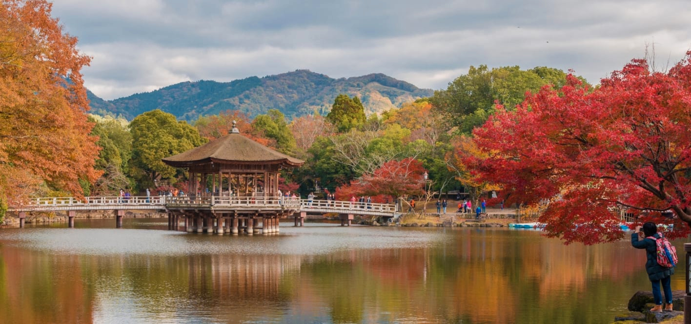 Nara Day Tour with Local Guide from Osaka ORekkYjC-backdrop