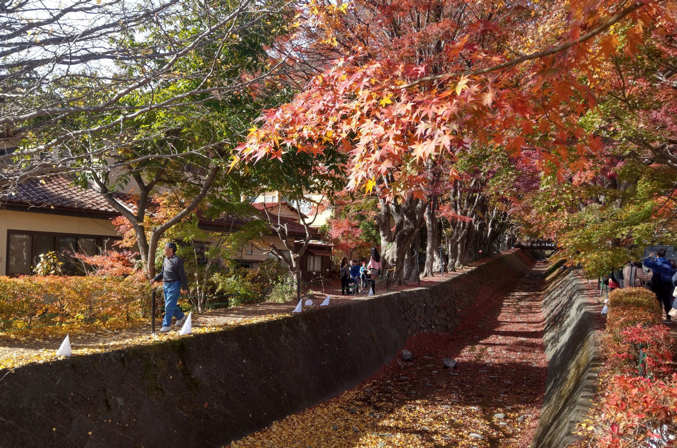 Mount Fuji Panoramic View & Shopping One Day Tour from Tokyo Hmg9frBE