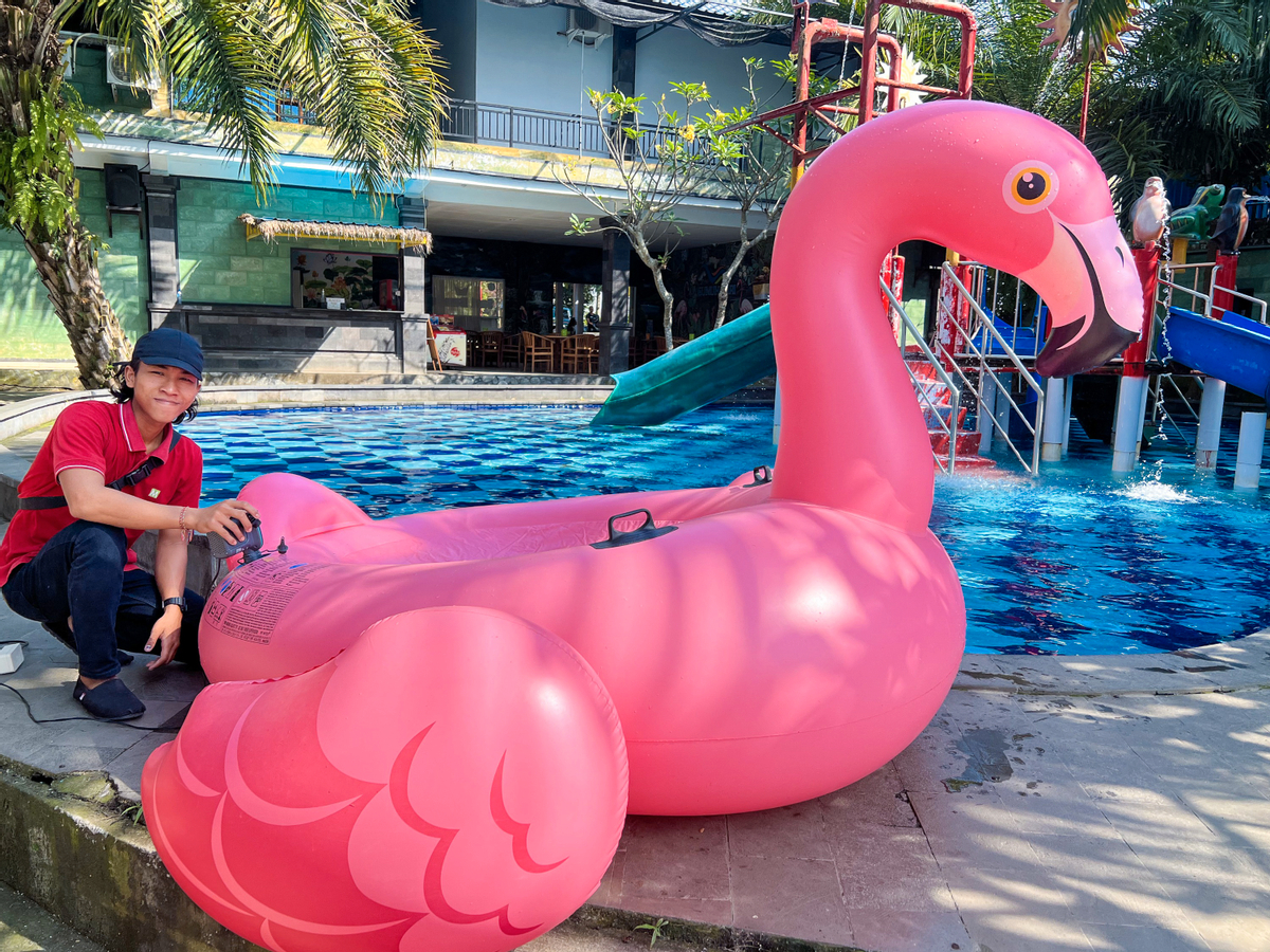 Bali Pool Floatie Rental APnf62yB-backdrop