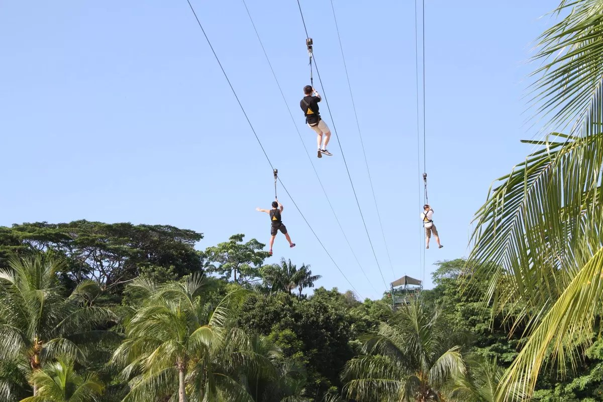 MegaZip at Mega Adventure Park Singapore wkGZC18I