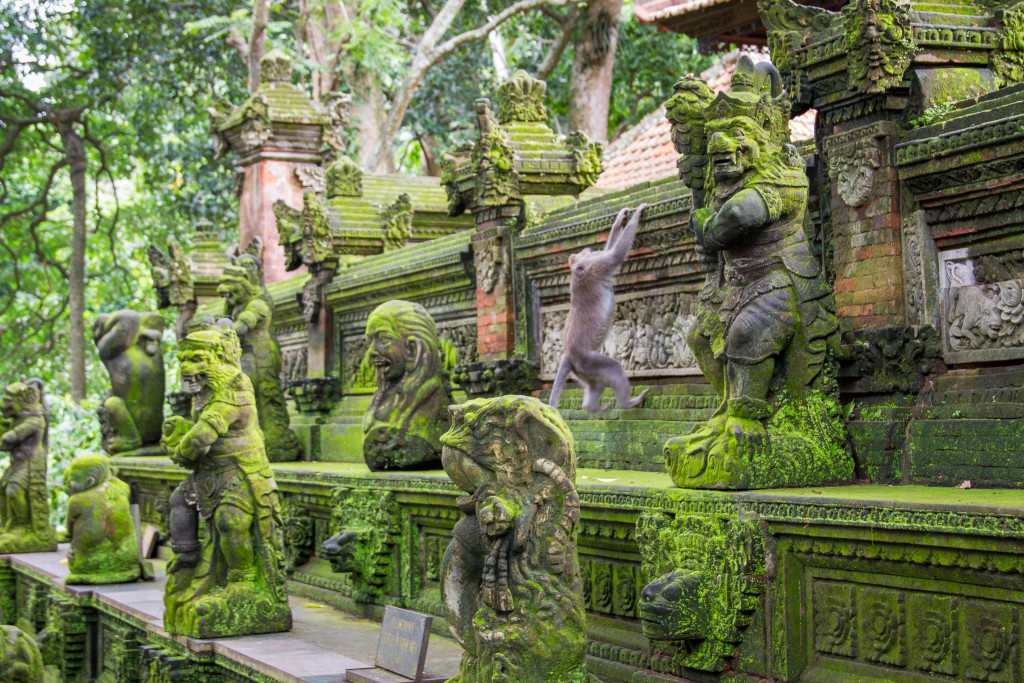 Central Bali All-You-Can-See Tour: Waterfall, Elephant Cave, Tirta Empul, Tegalalang Rice Terrace & Sacred Monkey Forest aHIMUYtU