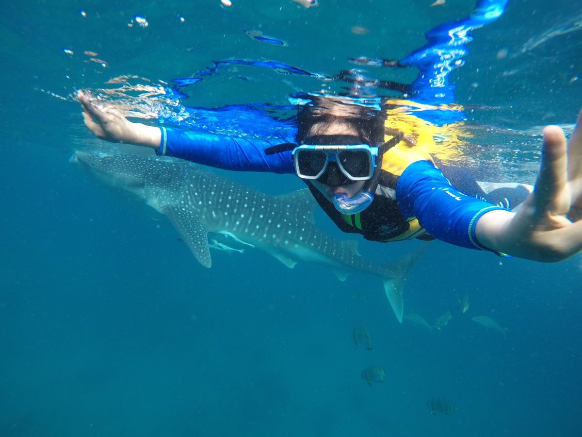 Oslob Whale Shark Watching Join In Day Tour from Cebu Gc4zMQ25